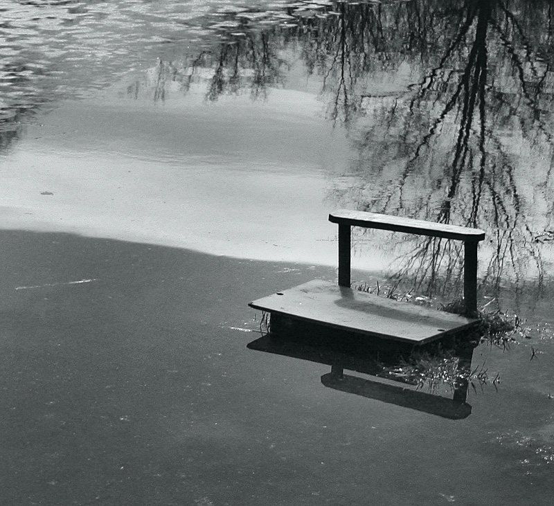 ...........photo preview