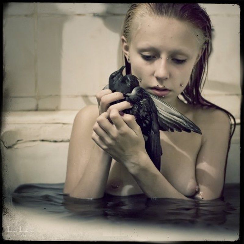 Будник и Голубь.photo preview