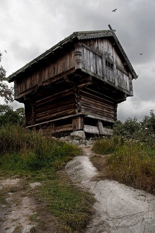 скансен Там на неведомых дорожках фото превью