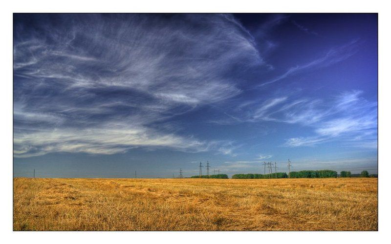 осень Гуляя в полеphoto preview