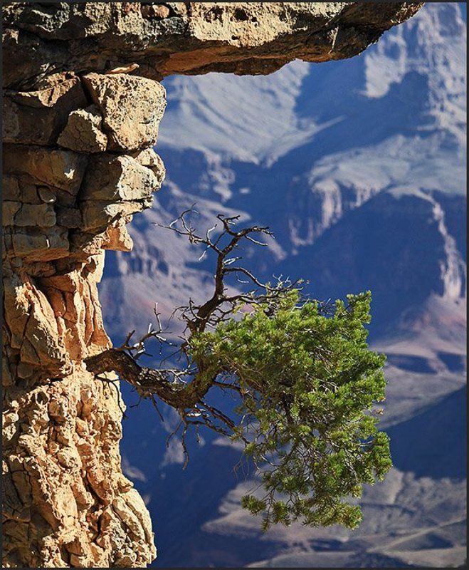 Альпинист(ка).photo preview