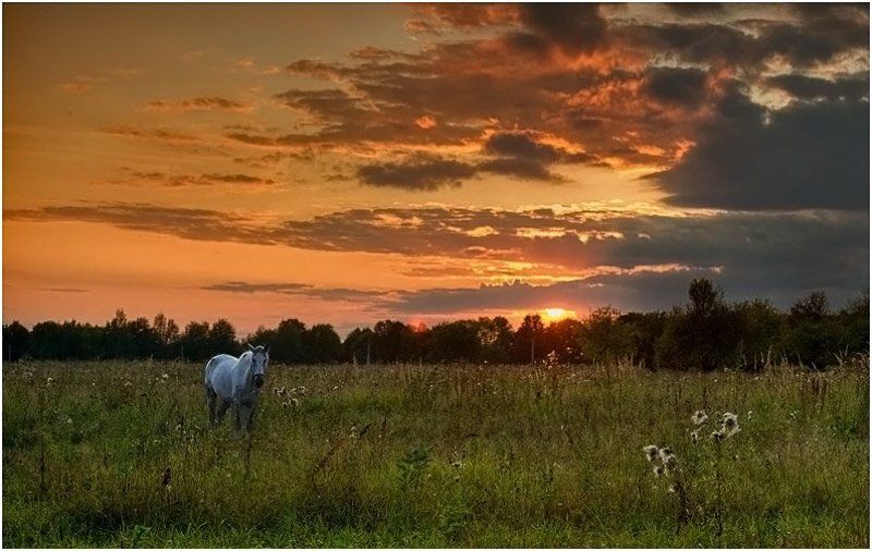 Закатнаяphoto preview