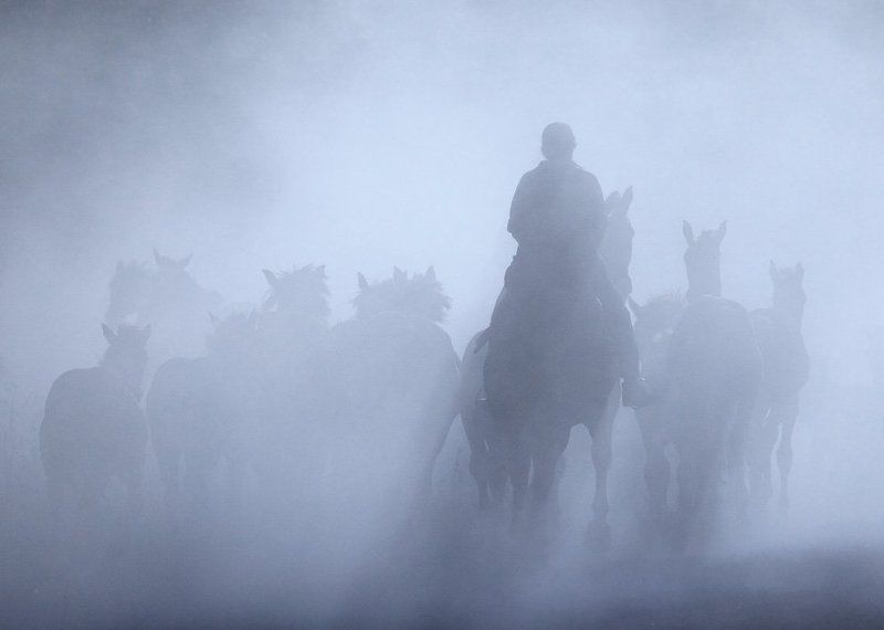 Искупаться в туманеphoto preview