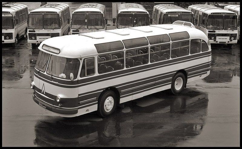 автобус, , лаз, , 695е, , история, , город, , транспорт, , нтв ЛАЗ-695Еphoto preview