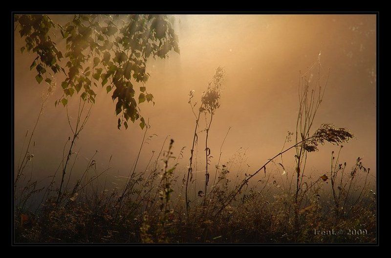 залитые светомphoto preview