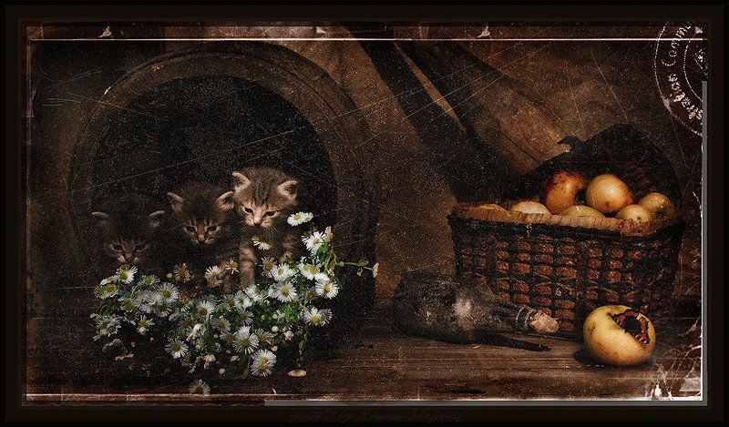 И нежности немного...photo preview