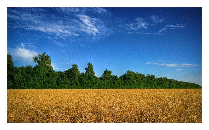 лето 3 - Колорphoto preview