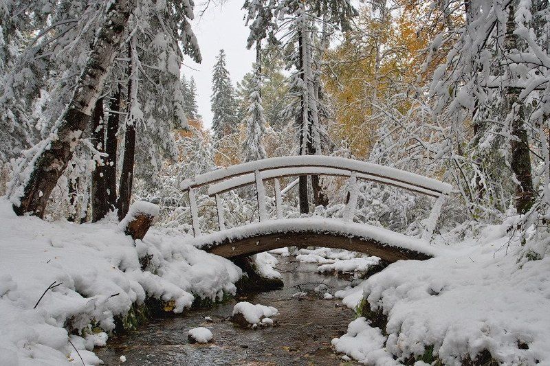 бурятия, улан-удэ, сентябрь, снег, снегопад photo preview