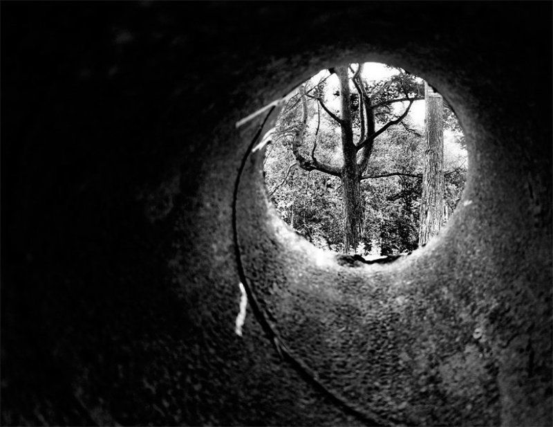 Куда ни глянь везде Трубаphoto preview