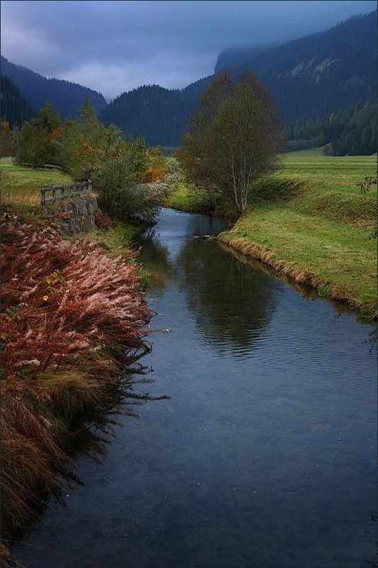 швейцария, alps, swiss, switzerland Вечерний ручейphoto preview