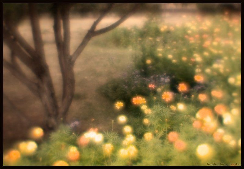 Цветные сныphoto preview