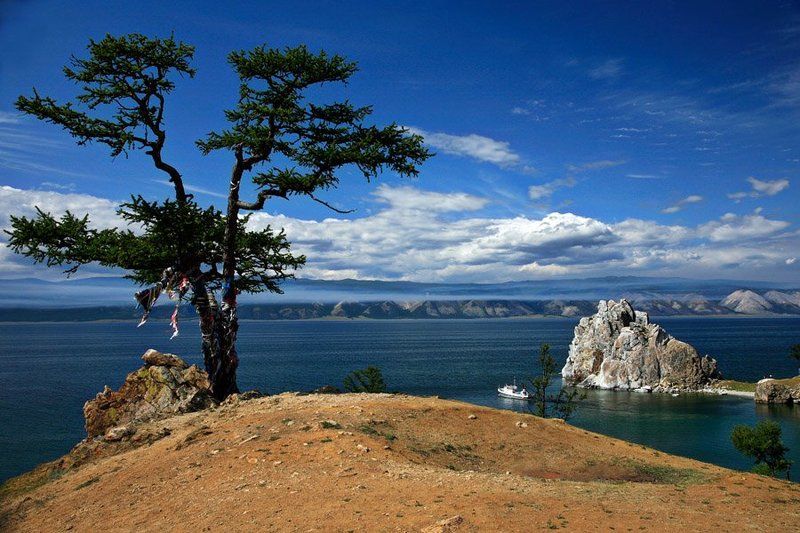 Дерево духовphoto preview