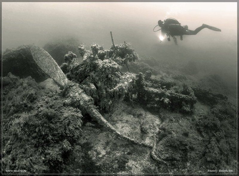 черное, море, херсонес, истребитель, самолет, рэк, anatoly, beloshchin, подводное, фото «Мир вашему дому!» (Истребитель. Подводное фото)photo preview