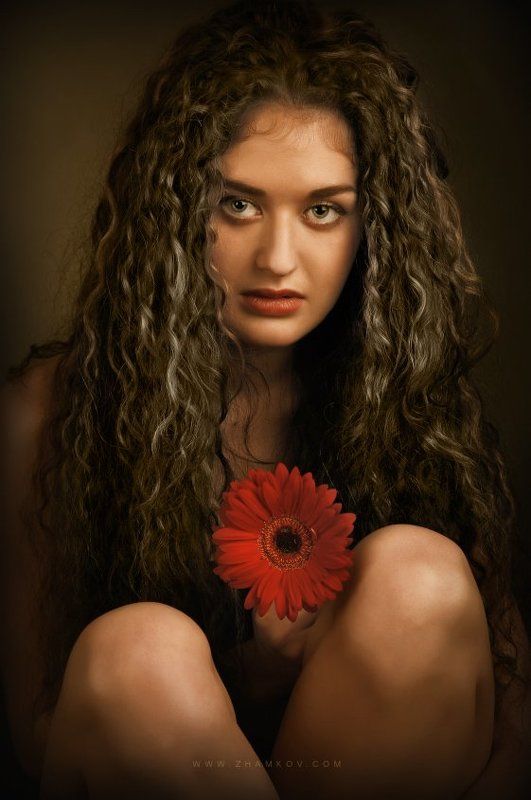 cubalibraphoto preview