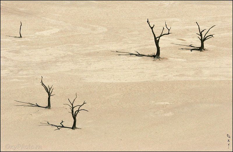 africa, dune, namib desert, namibia, sossusvlei, африка, дюны, намибия, пустыня намиб, соссусвлеи, Танцы с тенями...photo preview