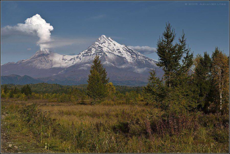 лес,осень,горы,вулкан,извержение,шивелуч,камчатка, Александр Лицис