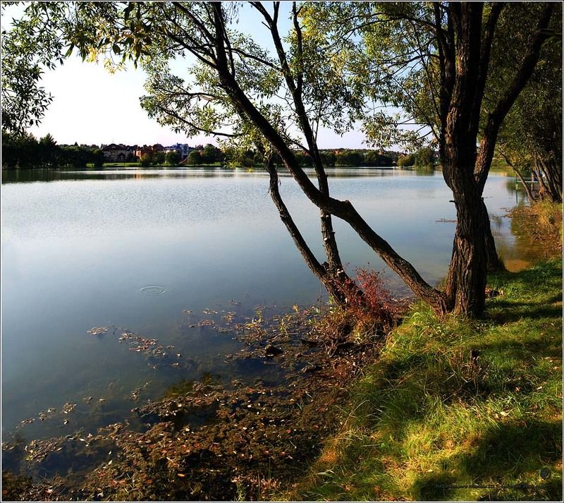 На самом юге Москвы IIIphoto preview