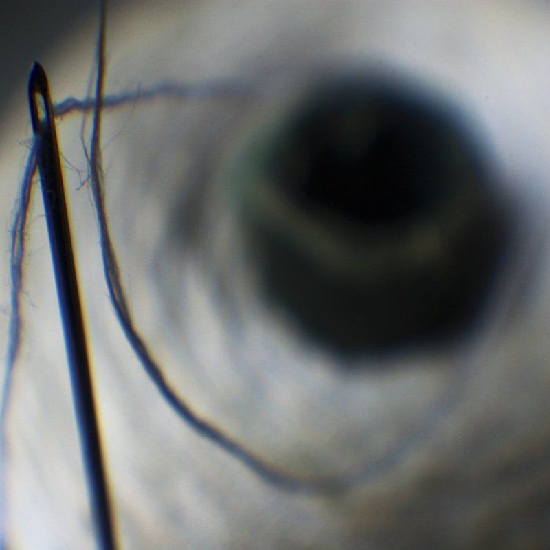 IMGP7137c.jpgphoto preview