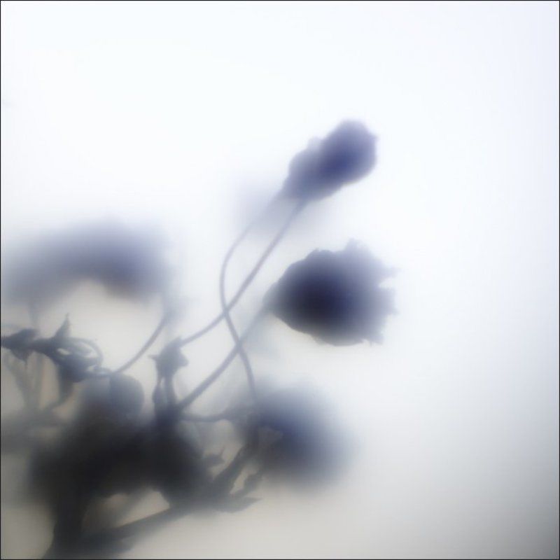 IMGP7183.jpgphoto preview