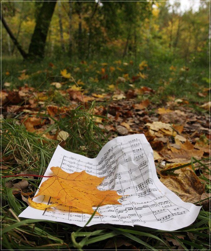 мелодия осениphoto preview