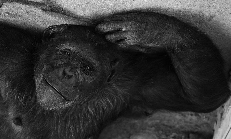 Улыбнись этому мируphoto preview