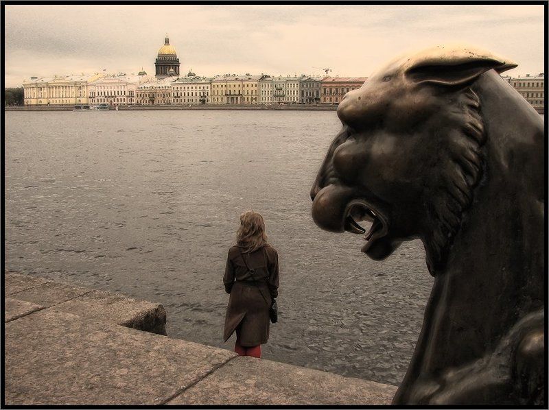 Хищникphoto preview