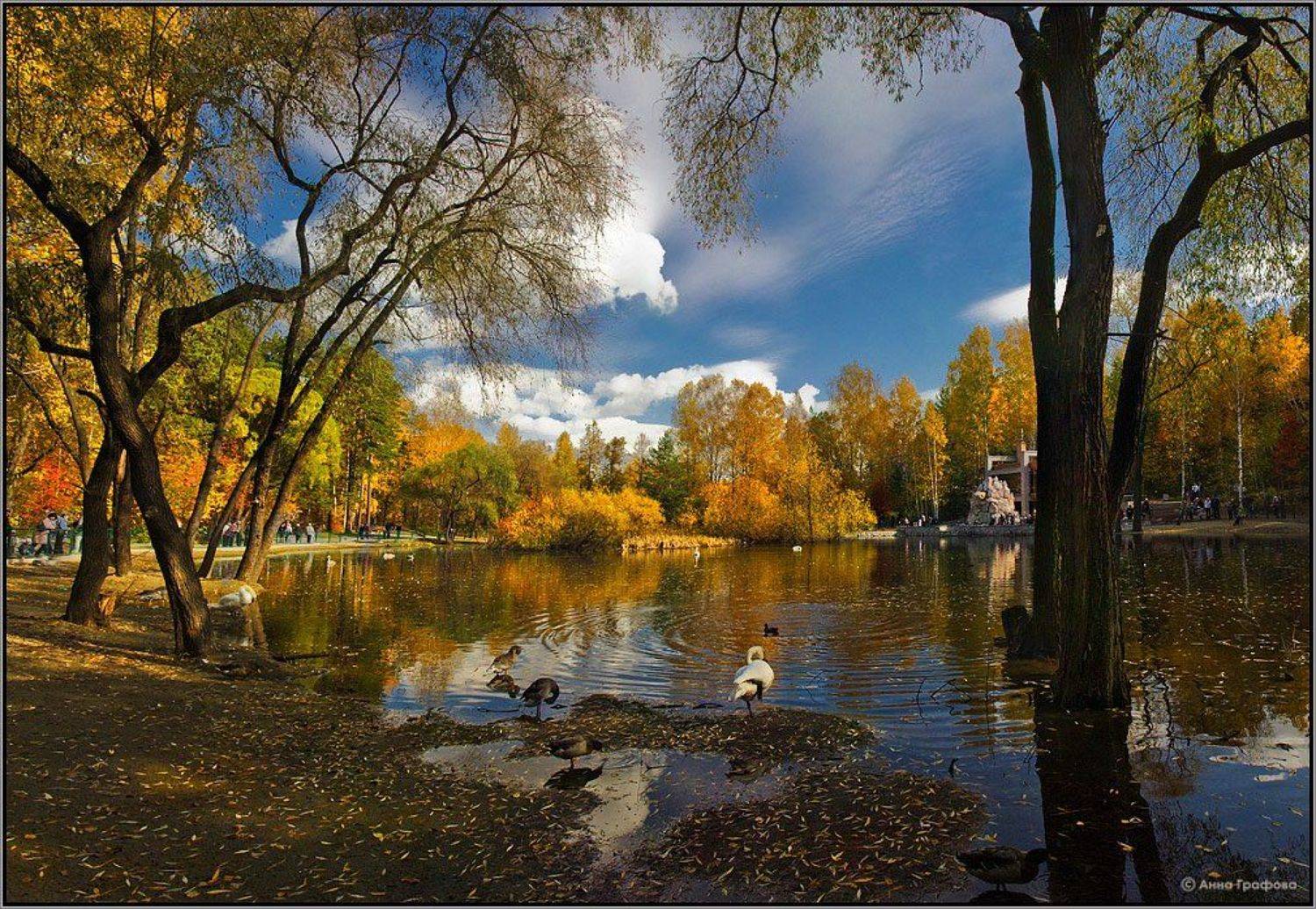 новосибирск, зоопарк, озеро, осень, аня графова, Аня Графова