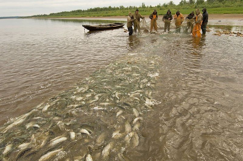 жизнь на краю земли, жанр,ненцы,путешествия, север из жизни рыбаков#4photo preview