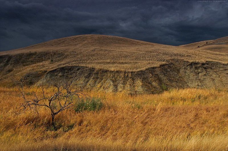 Донские зарисовки: Предгрозовоеphoto preview