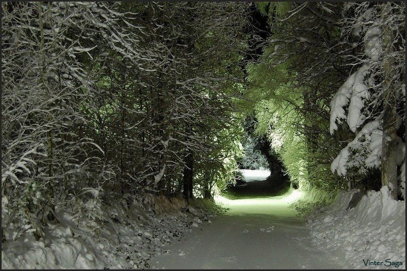 сказка,пейзаж,природа,швеция,скандинавия,лапландия,заполярье,зима,снег Приглашениеphoto preview