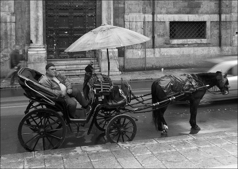 жизнь, палермо, италия, сицилия А жизнь, как всегда, на месте...photo preview