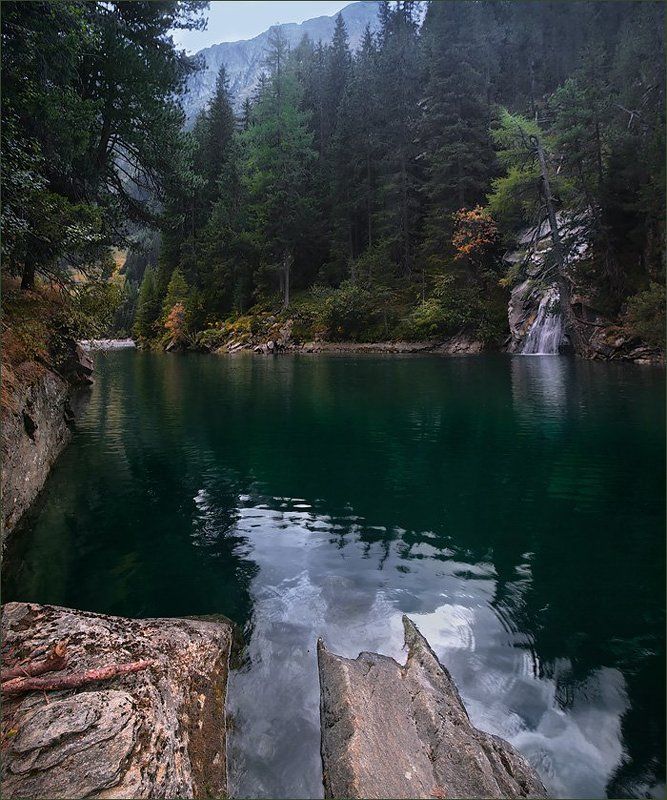 швейцария, alps, swiss, switzerland Тишина лесного озераphoto preview