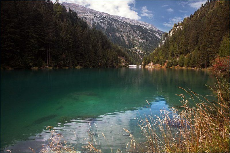 Краски лесного озераphoto preview