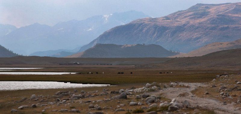 ДОРОГИ МОНГОЛИИ.. (пейзаж с нерезким ПП) фото превью