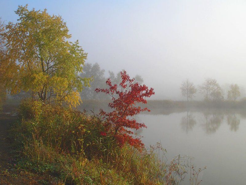 ОСЕНЬphoto preview