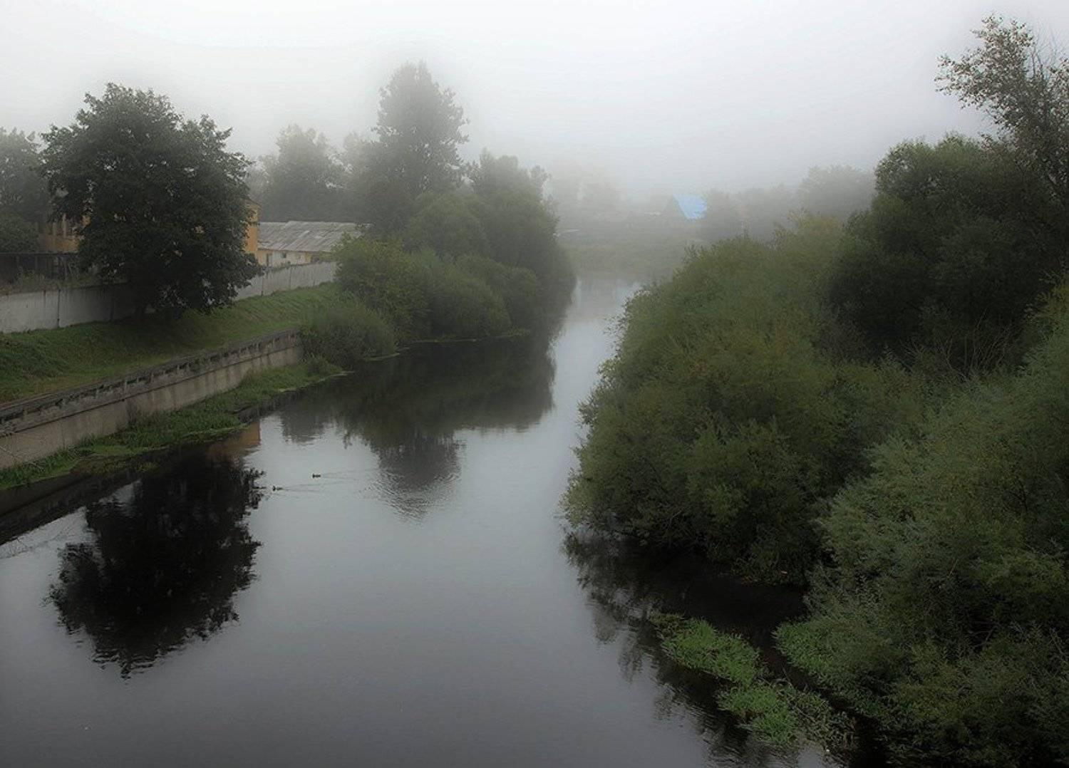 Ранняя осень. Река Луга.. Автор: Олег Обухов , Олег Обухов