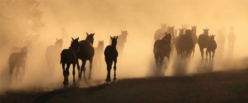 Утомленные солнцемphoto preview