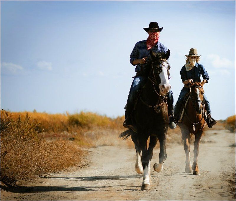 Five Hundred Milesphoto preview