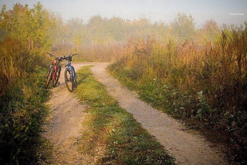 Встреча....photo preview