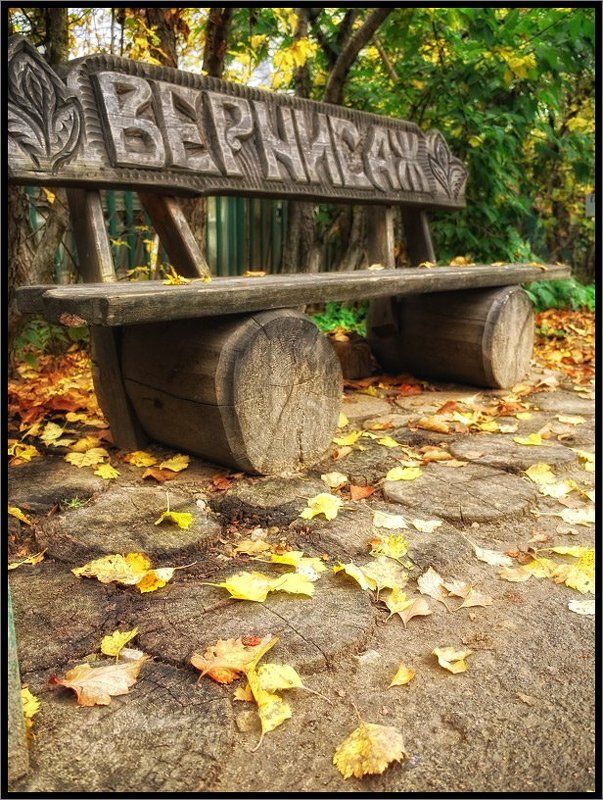 На вернисаже осень...photo preview