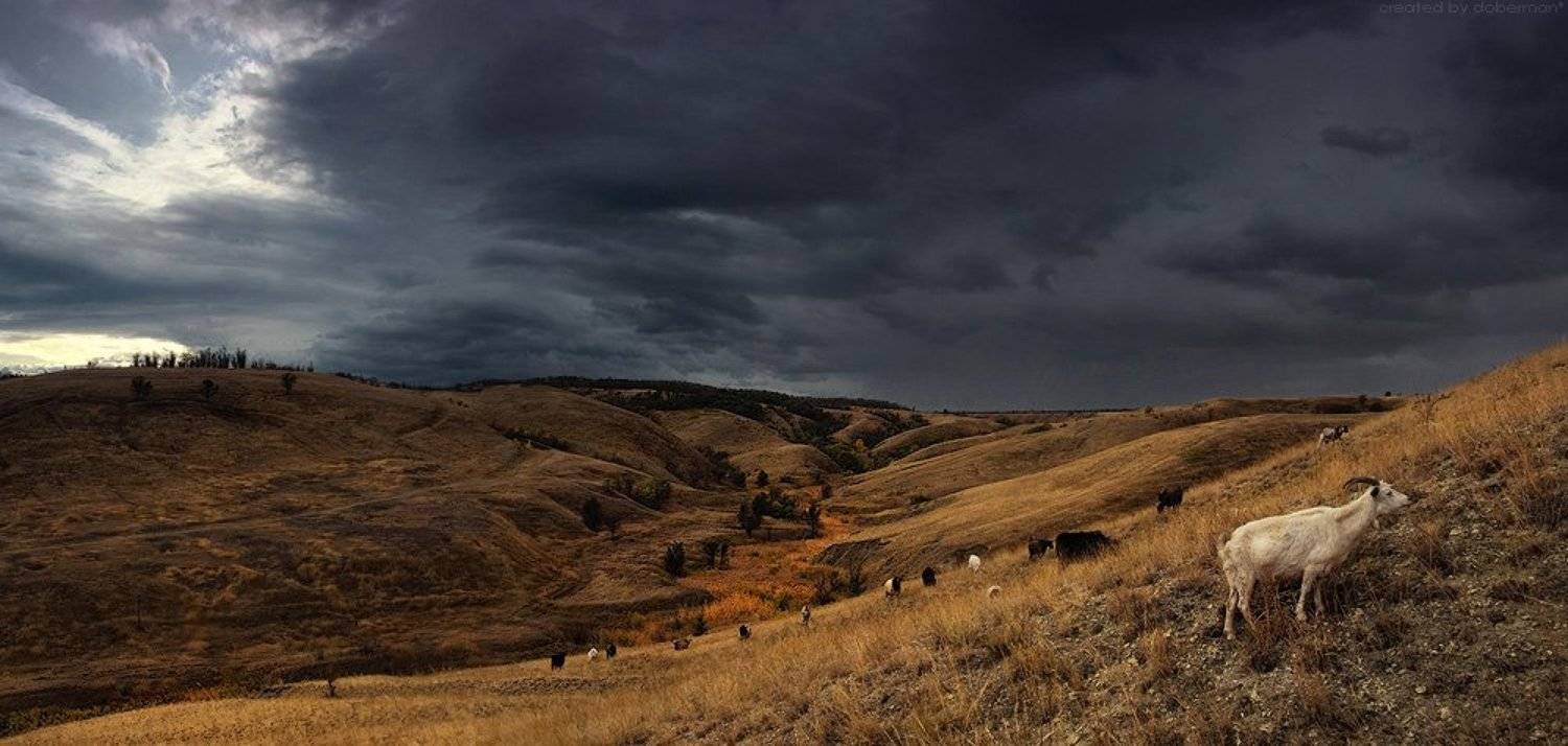 , Денис Богомолов