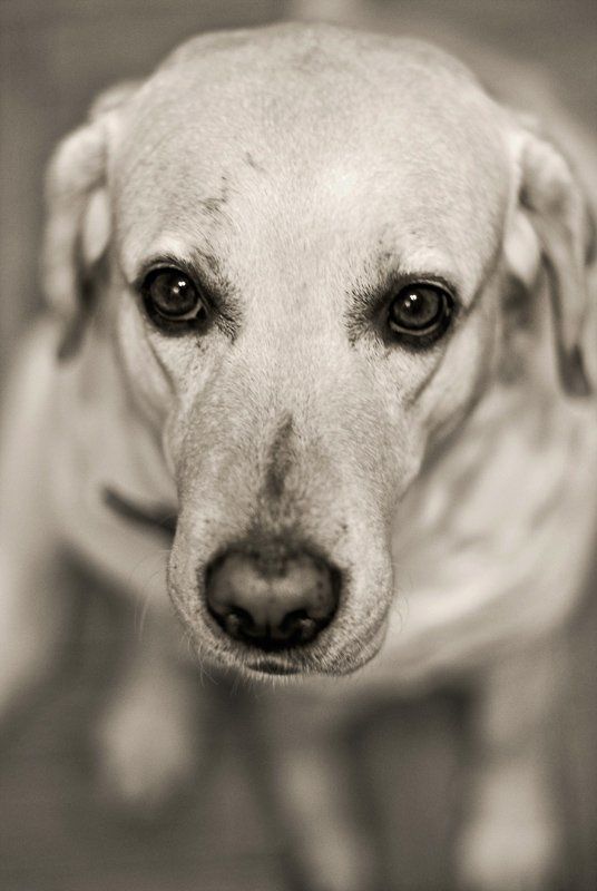 Она тебе верит...photo preview