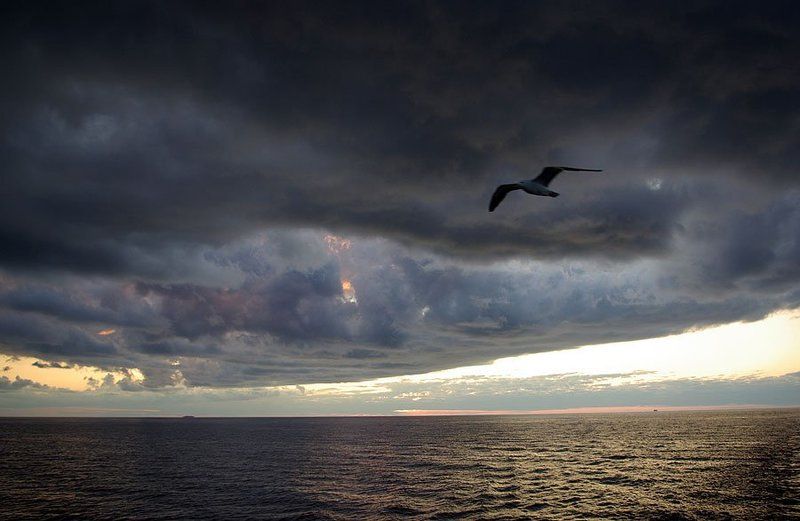 ладога,гроза Перед грозойphoto preview