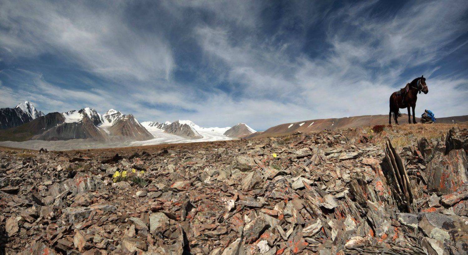 ПРО ЛОШАДКУ, ОБО, ЛЕДНИК И ГОРНЫЕ МАКИ.... Автор: Yuri Ovchinnikov , Yuri Ovchinnikov