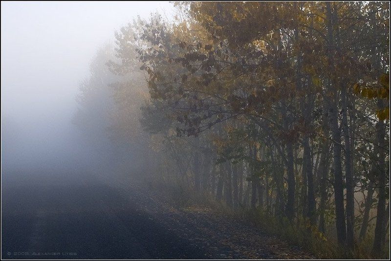 утро,осень,дорога,туман,камчатка Осеннее утроphoto preview