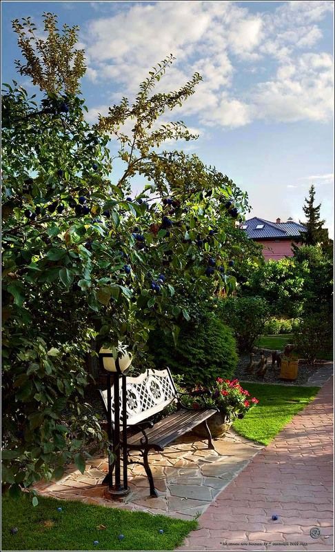 На самом юге Москвы IVphoto preview