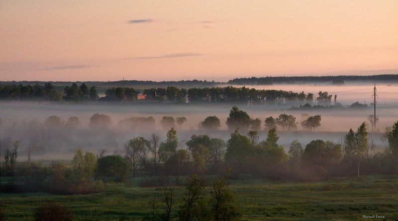 туман, утро, О тумане...photo preview