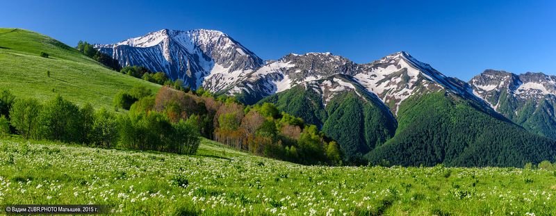 Zubrphoto, Абаго, Горы, Западный кавказ, Лето, Луга, Панорама, Цветы На пастбище Абаго.photo preview