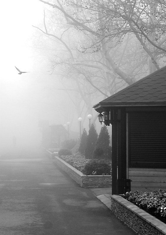 Свобода реальностиphoto preview