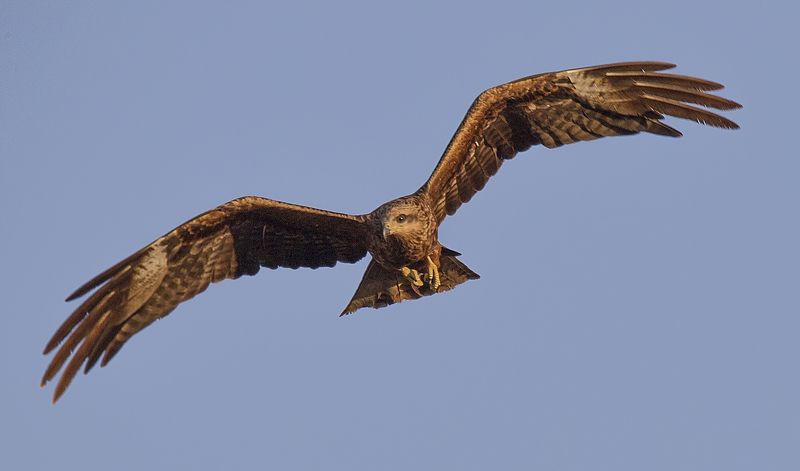 Фазы полетаphoto preview